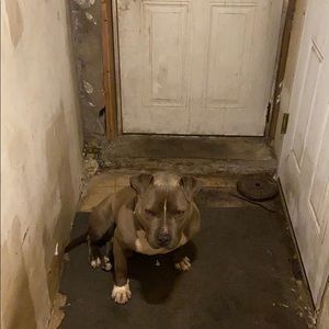 Meet your Posher, Charlie